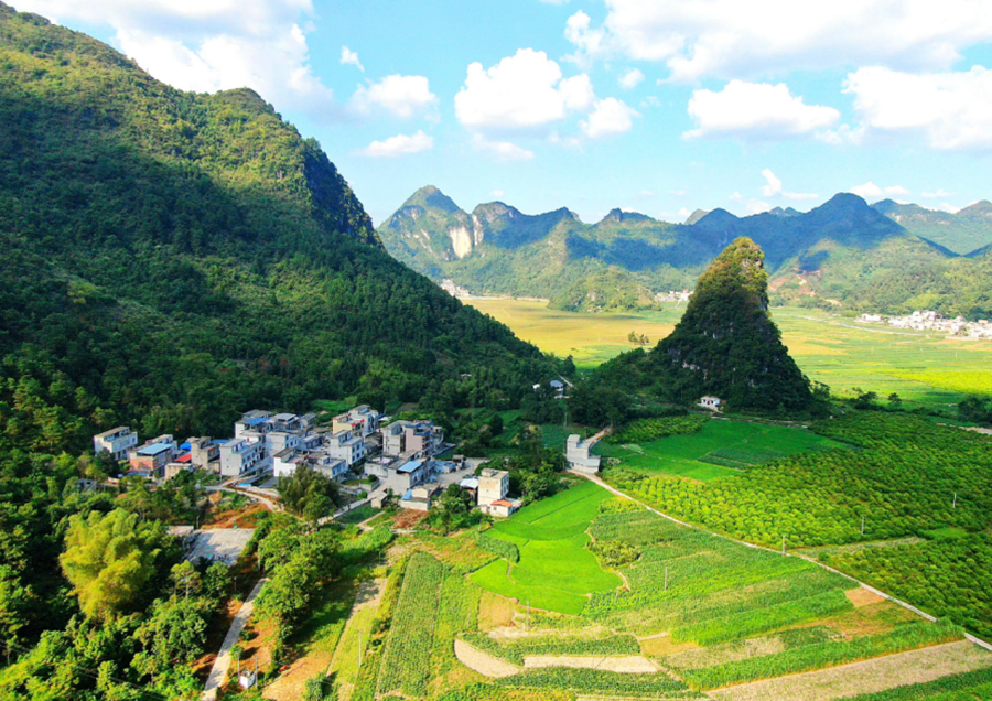 上林县岜独村：让民族团结融入乡村振兴新画卷（组图）